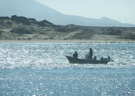 Morro Bay National Estuary